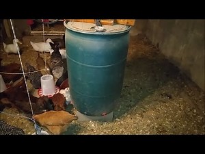 55 Gallon Heated Chicken And Duck Watering System