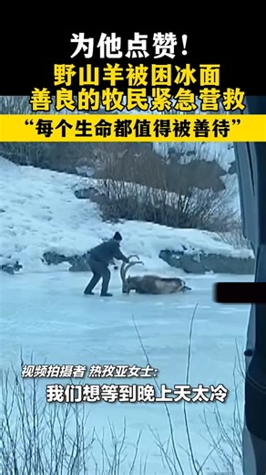 🇨🇳 Ice Rescue: Every Life Deserves Kindness