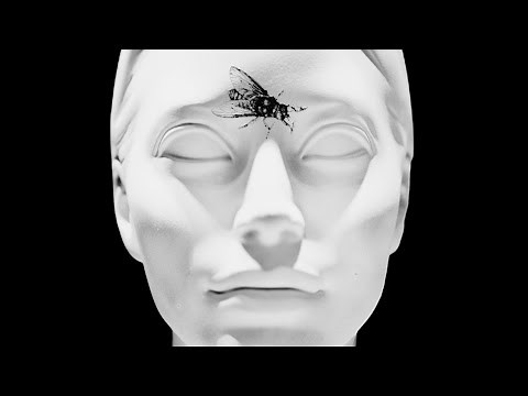 Emily Dickinson | I Heard a Fly Buzz When I Died | Poetry Reading