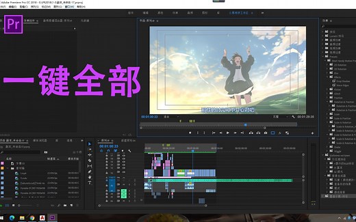 【PR教程】PR一键安装全部插件教程！！！一键安装！！！一键安装！！！