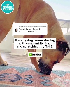 555 reactions · 118 shares | Try Dinovite for FREE! Better gut health, a stronger immune system, and a happier dog – all in one easy-to-use daily supplement! Get your FREE starter pack now, just pay shipping and handling  | Dinovite.com | Facebook