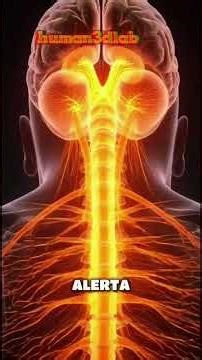 “This is what’s happening inside the human body 🧠Real anatomy in 3D visuals.Follow @Human3DLab