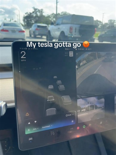Frustrations with Tesla AI Technology
