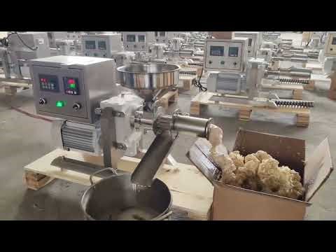 Home Use Automatic Small Cold Oil Press Machine for groundnut Sesame and Soybean Oil