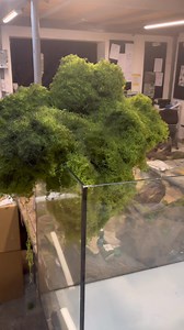 16K views · 89 reactions | Artificial moss | Aquadecor | Facebook