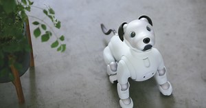 Sony brings its adorable robotic dog Aibo stateside with an expensive price tag