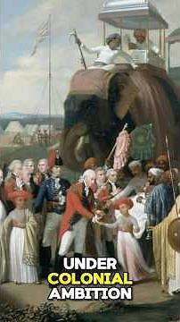 Brazil’s Diamond Boom - How a Gold Hunt Sparked a Gem Empire!