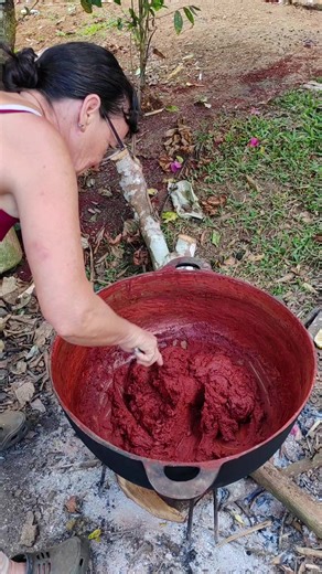 Me hubiera encantado grabarles todo el proceso del achiote pero no lo logré... Con decirles que desde el jueves pasado le están volando fuego. Lleva demasiado trabajo pero como papi y mami son un gran equipo lo logran 💪