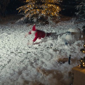 1.2K reactions · 463 shares | Don't miss our Black Friday deals! 歷 Blink Floodlight camera systems start at just $69.98 for a limited time. Smart security just got brighter! | Blink | Facebook