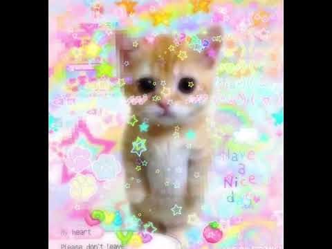 ☆Nightcore kawaii Playlist!!☆