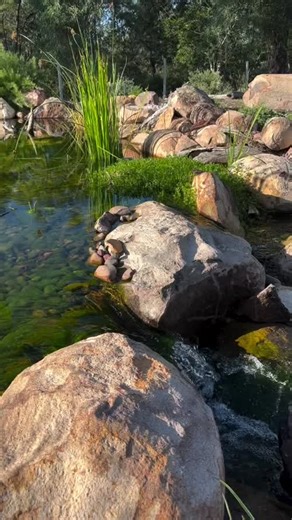 30K views · 858 reactions | This recreation swim pond in Port...