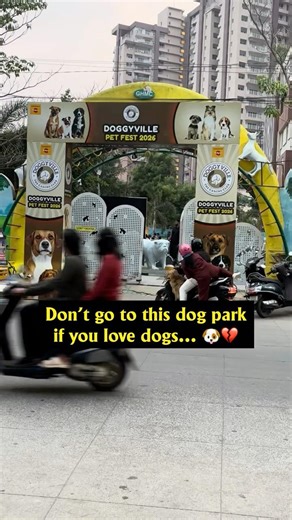 Don’t Go To This Dog Park If You Love Dogs… 🐶💔