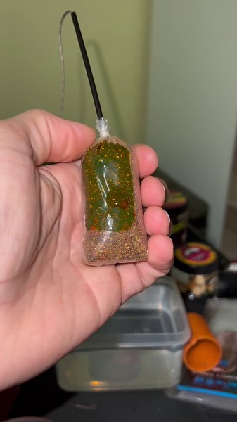 Proven Fishing Techniques & Bait Tips to Reel in Your Next Big Catch