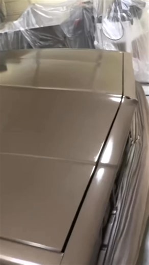 ACRYLIC ENAMEL BASECOAT🙄🙄 How To Apply Base Coat Clear Dry Easy Painting Tips Tricks & Techniques #carproblems #carrepair #garagelife #videotrending #carmaintenance #vehiclerepair #mechaniclife #fixmycar #automotiverepair #autorepair | Lemieux Reel