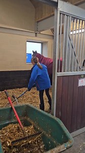 10K views · 628 reactions | Alan , how well is he looking? He lives...