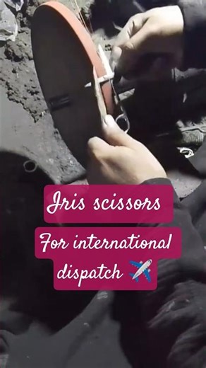 Premium Iris Scissors ready for international dispatch.High precision • Surgical grade steel • #foru