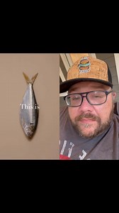 I ate a gizzard shad once #fishing #cooking #outdoors #easyrecipe #cheapprice #seafoodlover | Wade Fishez