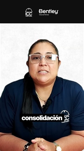 Learn PLAXIS from experts: master geotechnical analysis with finite elements