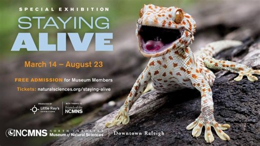 Museum of Natural Sciences opens interactive animal defense exhibit