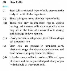 Stem Cells. Ans.... | Filo