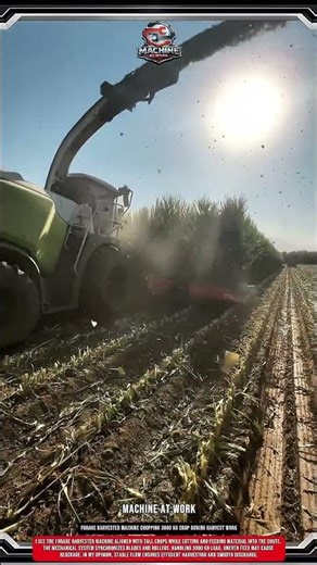 Forage Harvester Machine Chopping 3000 kg Crop During Harvest Work