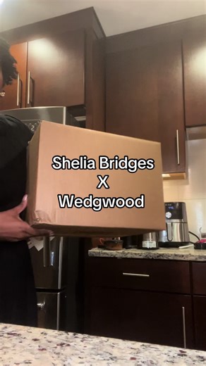 Harlem Toile Dinnerware by Sheila Bridges