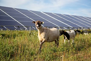 Solar for farms and rural small businesses - Solar United Neighbors