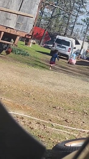 Rooster chasing kids #funny #funnyvideo #roosters #fyp #funnybaby | Nicu_musings | Facebook
