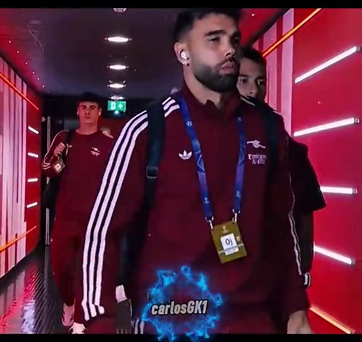 David Raya's Incredible Saves Compilation