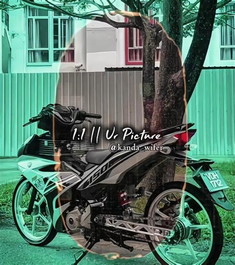 template in the comment section