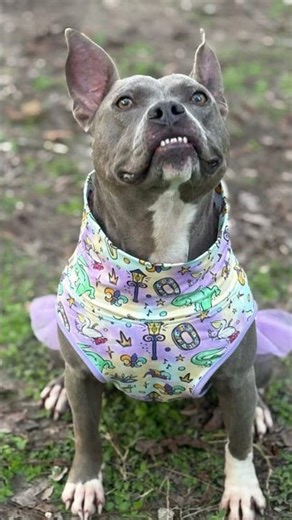 That just my BAY-by doggy