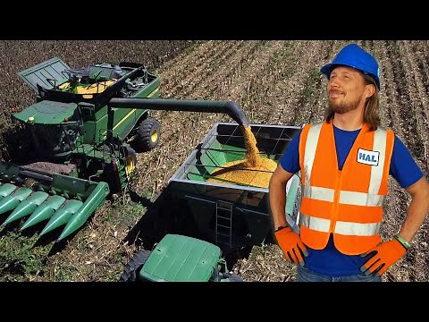 Farming Corn Harvesting with Handyman Hal | Corn Combine on Farm Equipment