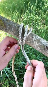 Fast & Easy Knot Anyone Can Tie #knots #knotless #knottying #knowledge #usa #USAToday #diy #mexico #usatoday | RS KNOT