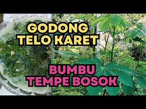 BEGINI CARAKU MEMASAK GODONG TELO KARET BIAR TETAP HIJAU SEGAR