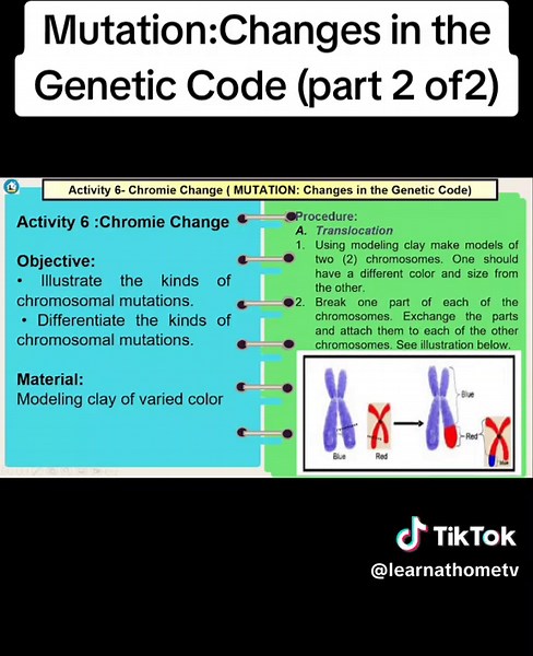 Science 10 Quarter 3 Module 2 Activity 6 part 2 of 2 (Chromie Change) #mutation