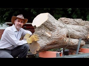 Milling Box Elder "Flame Maple" log | GRAINIACS #58 | De Oro Tonewood Mill