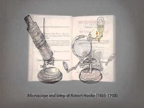 Part 1: How to Use Stereo and Compound Microscopes
