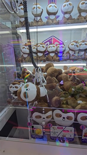 42K views · 898 reactions | Call me the sloth saver! | Cute Cuddly Cris | Facebook