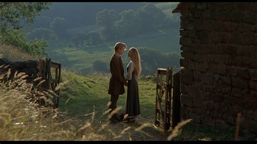 251 reactions · 76 shares | Come “have fun stormin’ the castle"  On...