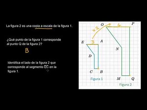 Identificar las partes correspondientes de copias a escala | Khan Academy en Español