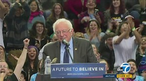 #BirdieSanders: Bird lands on Bernie Sanders' podium, Internet goes crazy