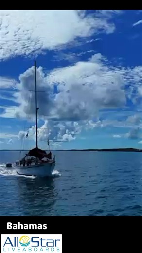 Explore the unique islands of the Bahamas by sailboat onboard Blackbeard's Cruises! ⛵ #allstarliveaboards #blackbeardscruises #justanotherday #dronevideo #bahamas #caribbean #scuba #liveaboard #buceo #bahamasdiving | All Star Liveaboards