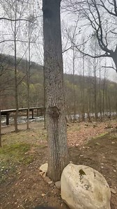 8.4K views · 87 reactions | Spring a Harman’s Log Cabins#wvlogcabins | Harman's Luxury Log Cabins | Facebook