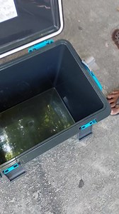 3K views · 18 reactions | Cooler SOLD 17Lx12Wx14H inches SOLD P1000 only SOLD Sale sale sale sale SOLD We are located at Public Market Alicia, Isabela 3306 Cagayan Valley > 09056656852 We ship / deliver to Cagayan, Isabela, Qurino Province, Mountain Province, Nueva Viscaya, Nueva Ecija, Pangasinan, Pampanga, Bulacan and Metro Manila deliver at buyer's expense. | Bargain Hunter Surplus Center | Facebook