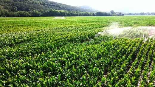 Ag tech is helping drive the future of global agriculture. Episode 3 of DigiKey’s Farm Different sits down with supplier partners, farmers and North Dakota based Grand Farm to tackle how we are all… | Katie Pinke