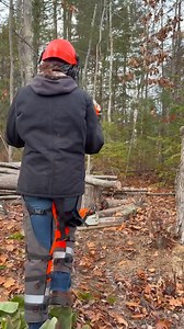 4.5K views · 81 reactions | Women from all over the world — from...