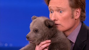 11M views · 176K reactions | Conan met an adorable brown bear cub in 2012. #CONAN | Team Coco | Facebook