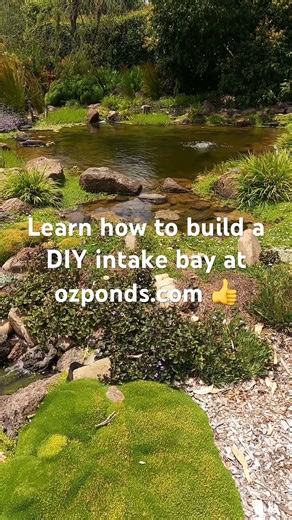 DIY Intake bay #ozponds