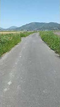 水前寺清子【真実一路のマーチ】