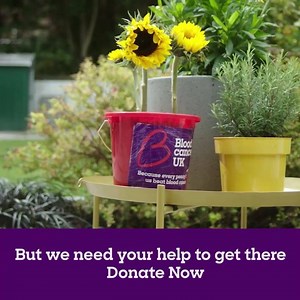 359 reactions · 87 shares | We're a community dedicated to beating blood cancer by funding research and supporting those affected. Since 1960, we've invested over £500 million in blood cancer research, transforming treatments and saving lives. We won’t stop, because we’ve come so far but we need your help - can we count on you to help us finish the journey? | Blood Cancer UK | Facebook